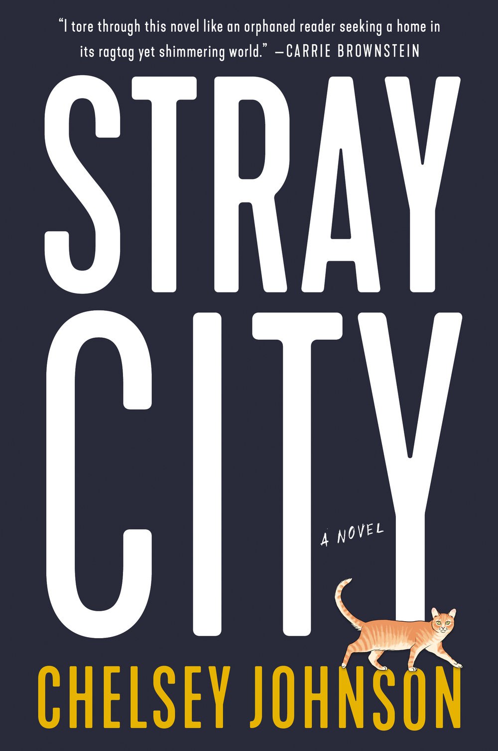 Chelsey Johnson – Stray City