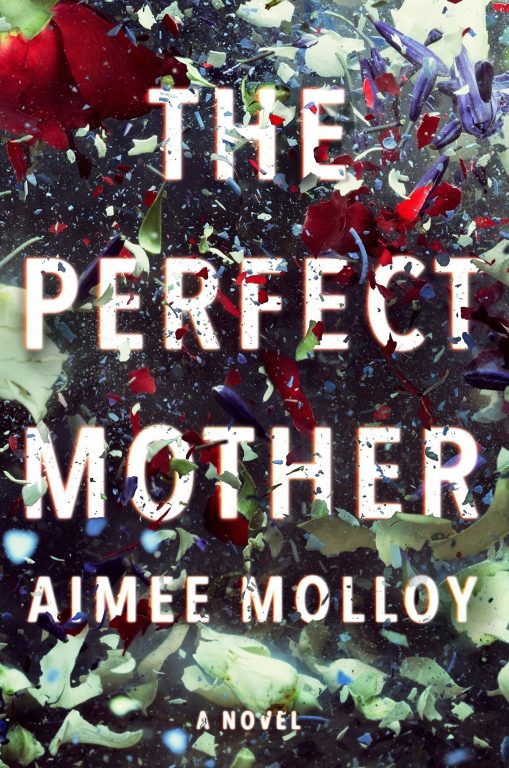 Aimee Molloy – The Perfect Mother