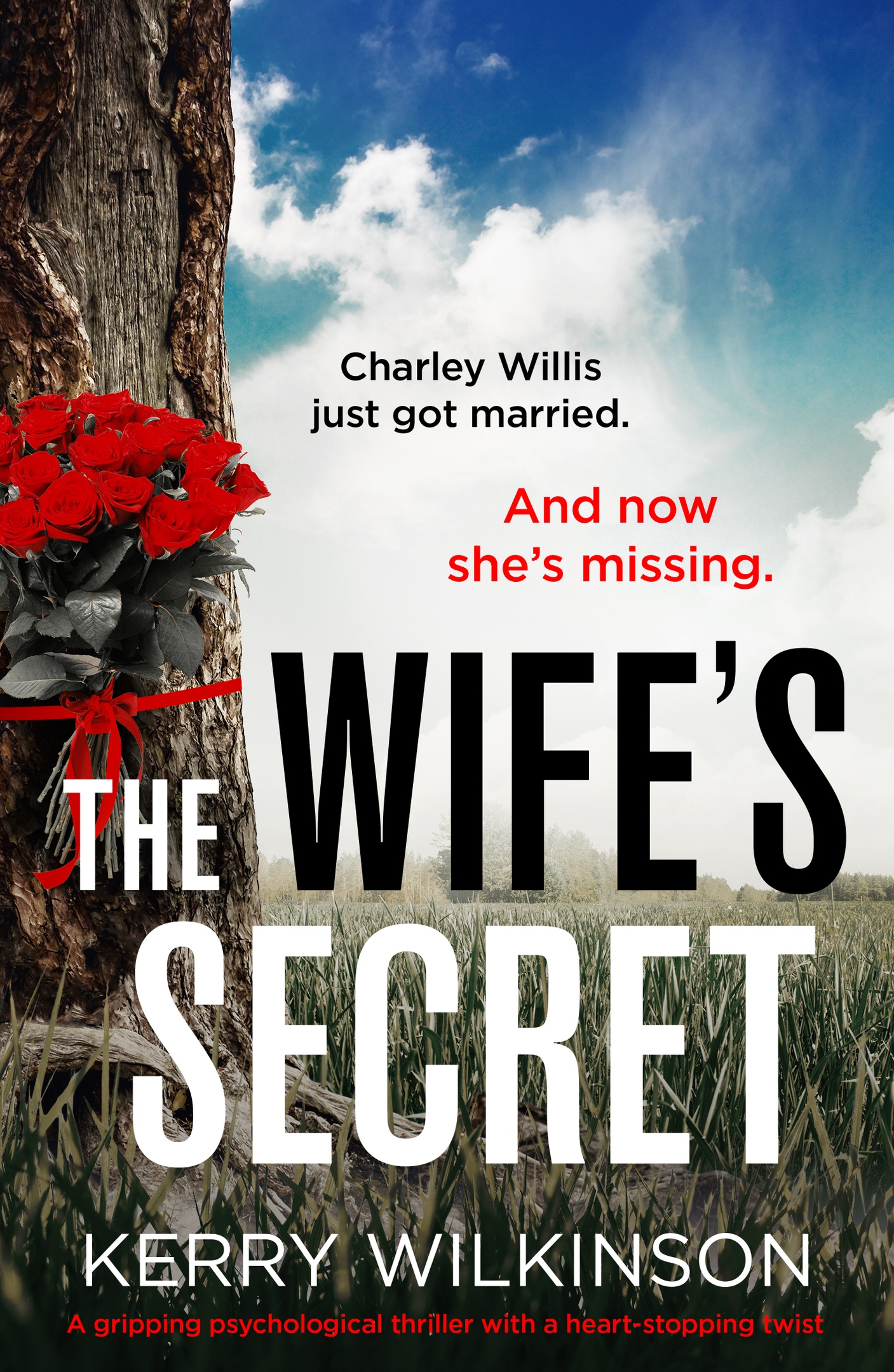 Kerry Wilkinson – The Wife’s Secret