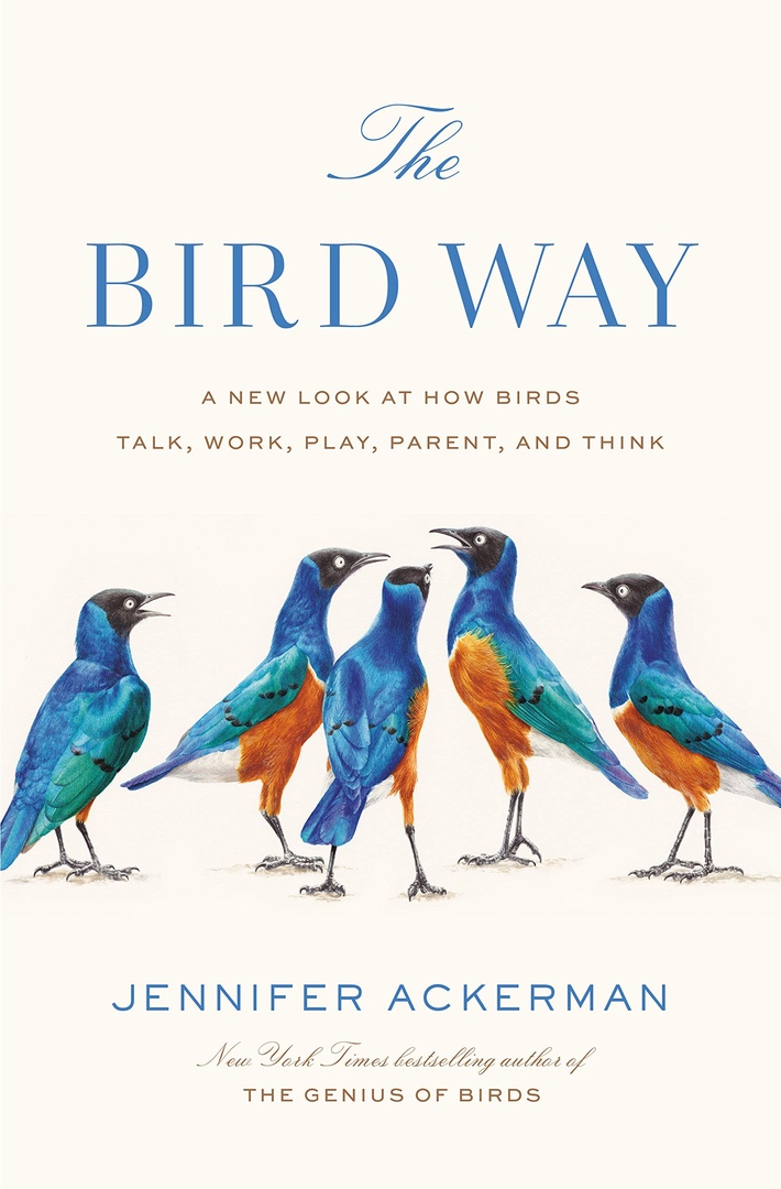 Jennifer Ackerman – The Bird Way