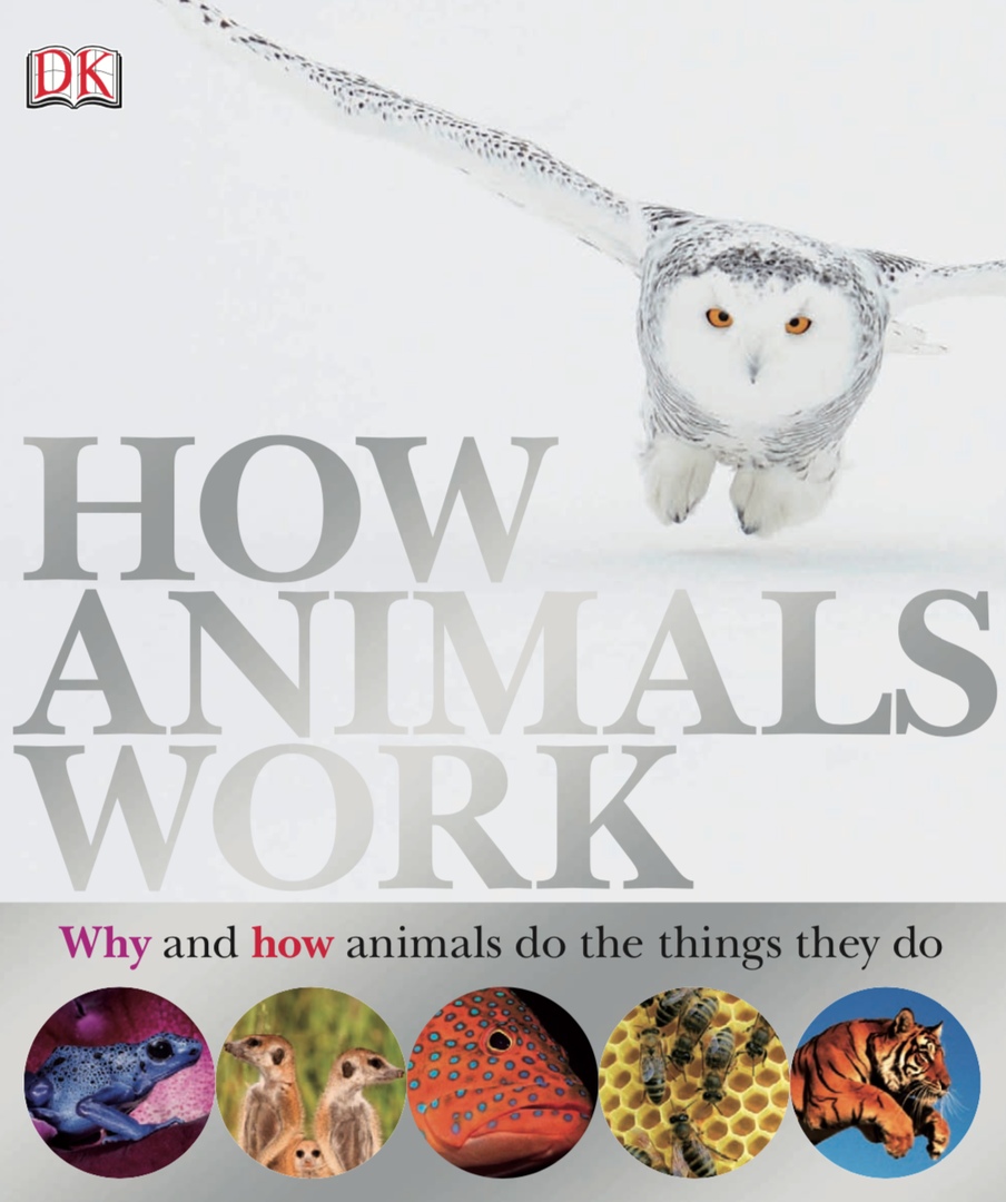 How Animals Work By DK Publishing