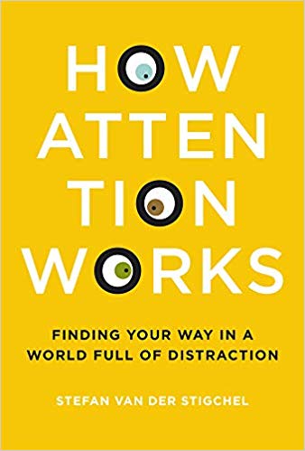 How Attention Works: Finding Your Way In A World Full Of Distraction By Stefan Van Der Stigchel