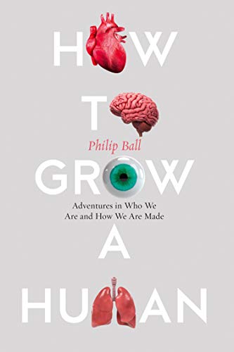 How To Grow A Human : Adventures In How We Are Made And Who We Are By Philip Ball
