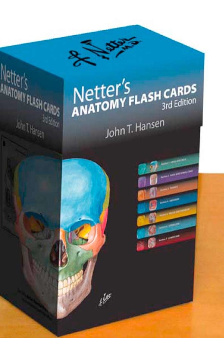 Netter’s Anatomy Flash Cards (Hansen) 3 Ed (2010)