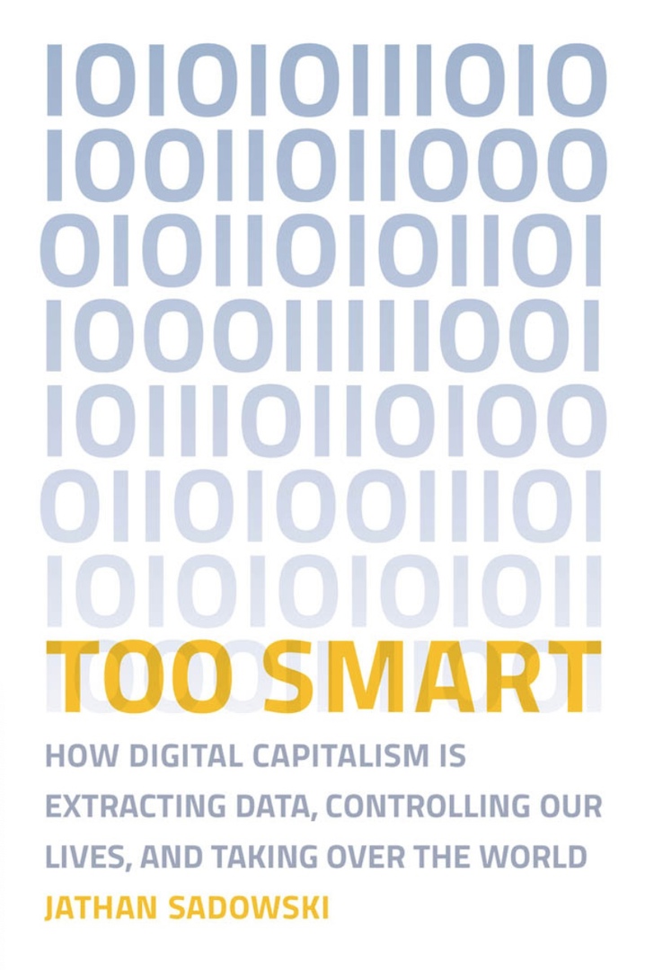 Too Smart: How Digital Capitalism Is Extracting Data, Controlling Our Lives, And Taking Over The World