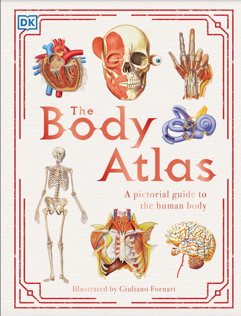 The Body Atlas: A Pictorial Guide To The Human Body By DK