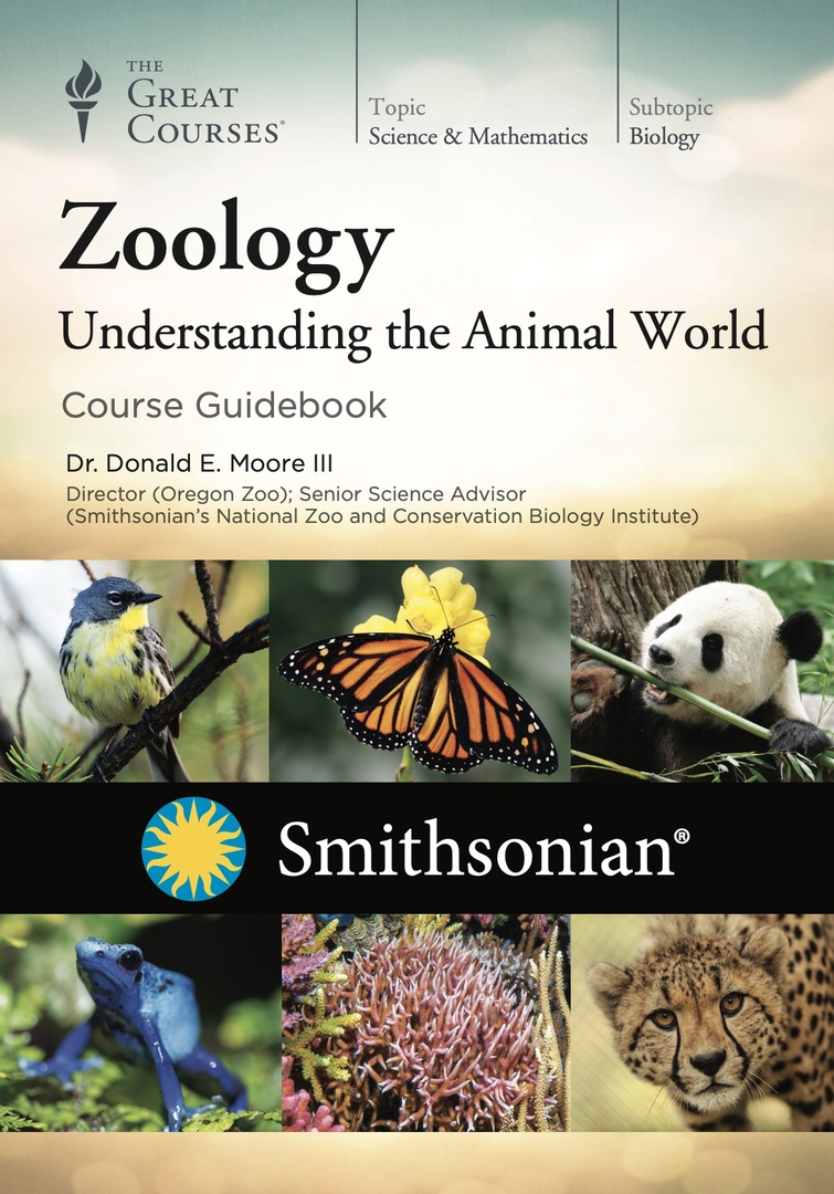 Zoology: Understanding The Animal World (Moore III, 2017)