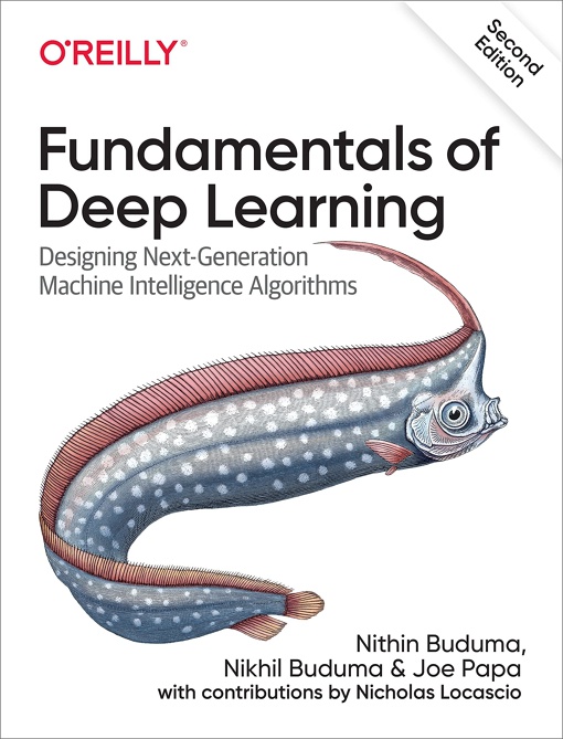 Nithin Buduma – Fundamentals Of Deep Learning
