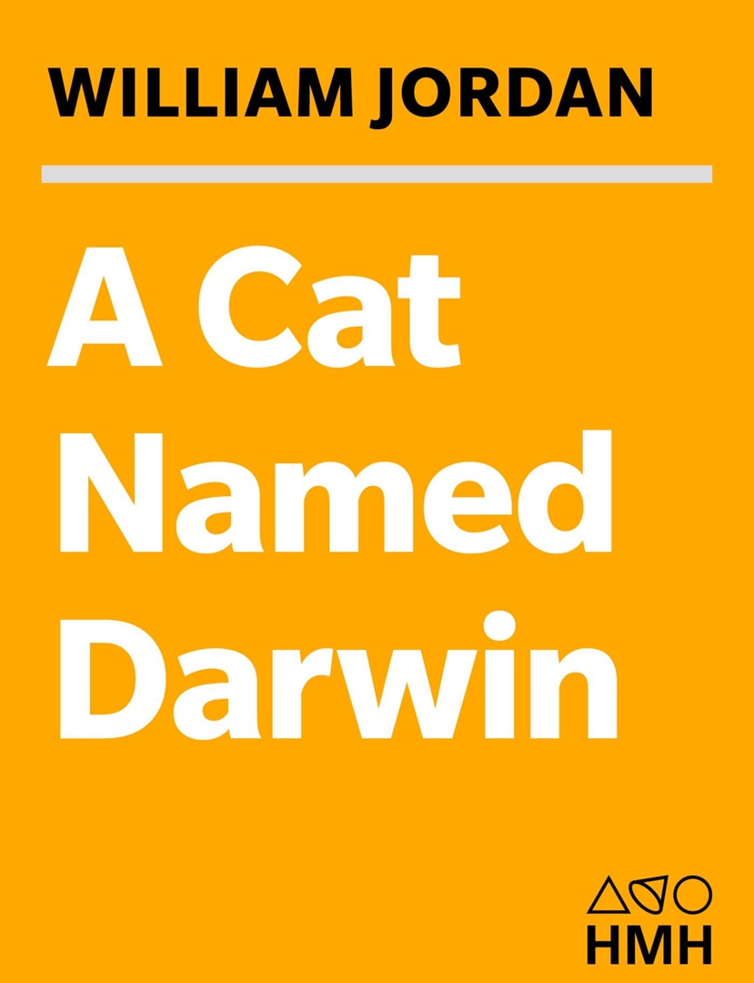 A Cat Named Darwin: Embracing The Bond Between Man And Pet