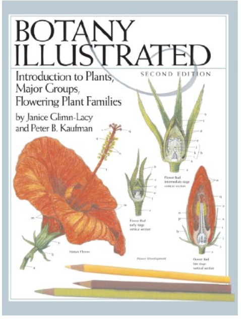 Botany Illustrated: Introduction To Plants, Major Groups, Flowering Plant Families By Janice Glimn-Lacy And Peter B