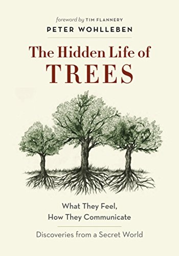 The Hidden Life Of Trees: What They Feel, How They Communicate—Discoveries From A Secret World (Wohlleben, 2016)