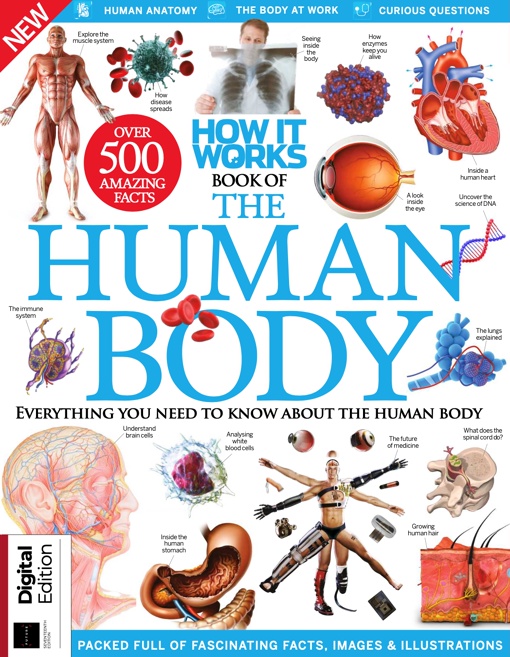 How It Works – Book Of The Human Body, 17th Edition 2022