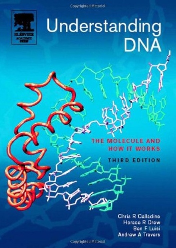 Understanding DNA: The Molecule And How It Works