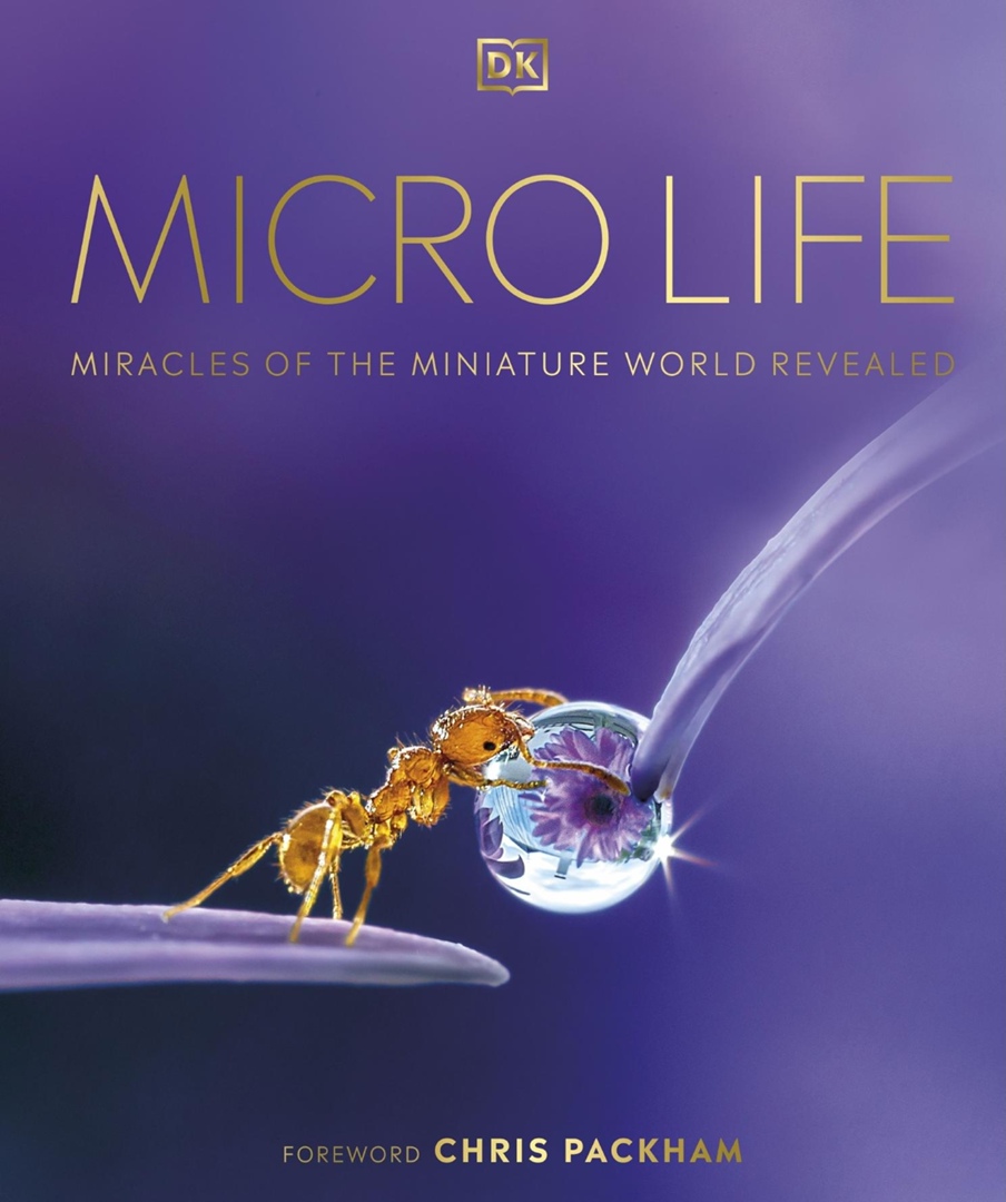 Micro Life: Miracles Of The Miniature World Revealed