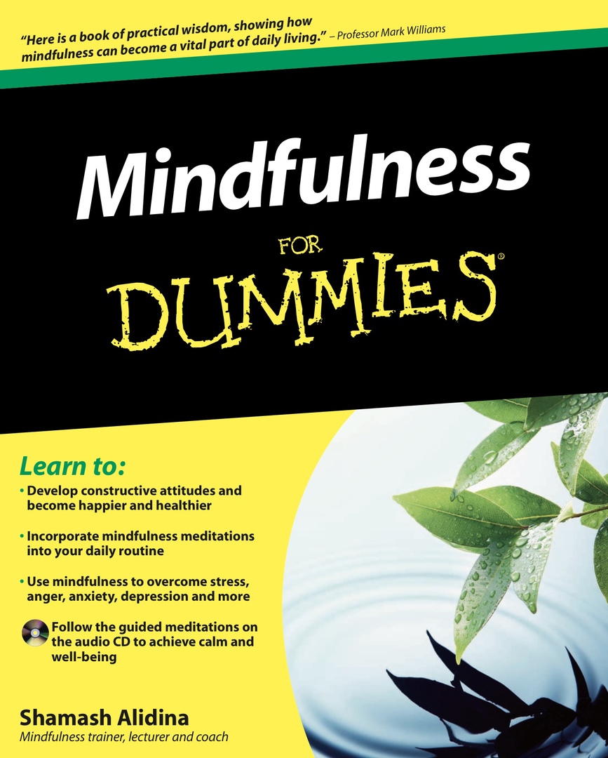 Mindfulness For Dummies By Aliding