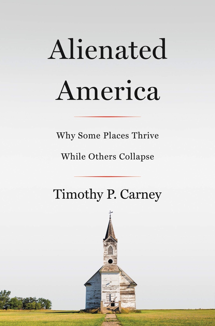 Alienated America By Timothy P