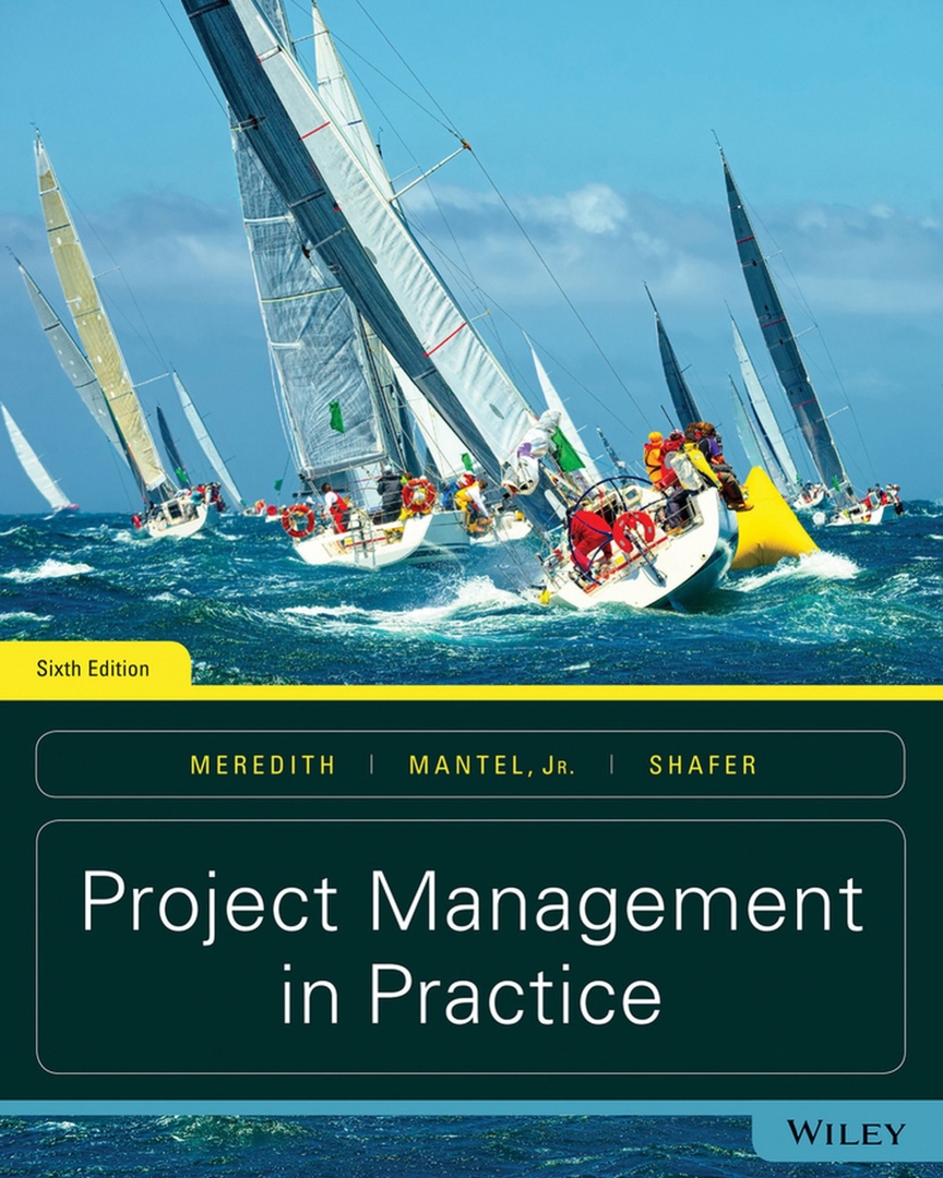 Project Management In Practice