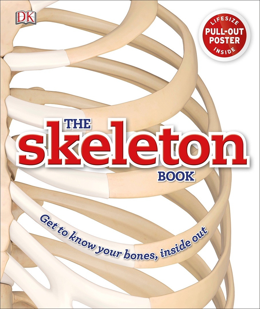 Robert Winston – The Skeleton Book :Get To Know Your Bones, Inside Out