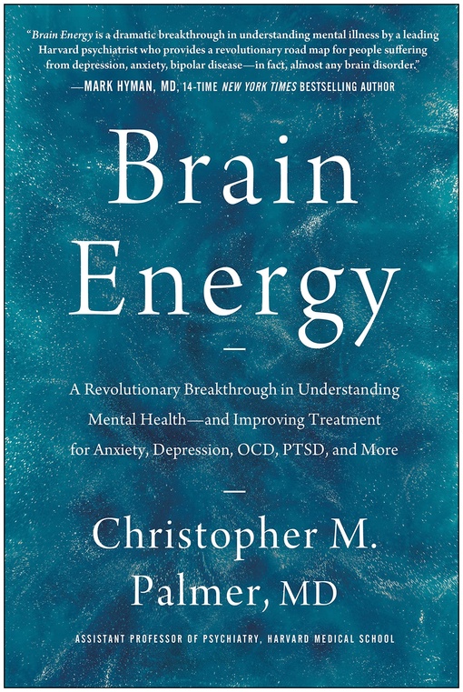 Christopher M. Palmer – Brain Energy
