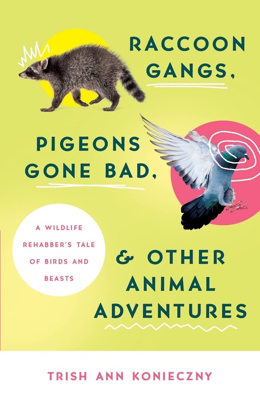 Trish Ann Konieczny – Raccoon Gangs, Pigeons Gone Bad, And Other Animal Adventures
