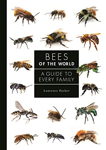 Bees Of The World: A Guide To Every Family By Laurence Packer