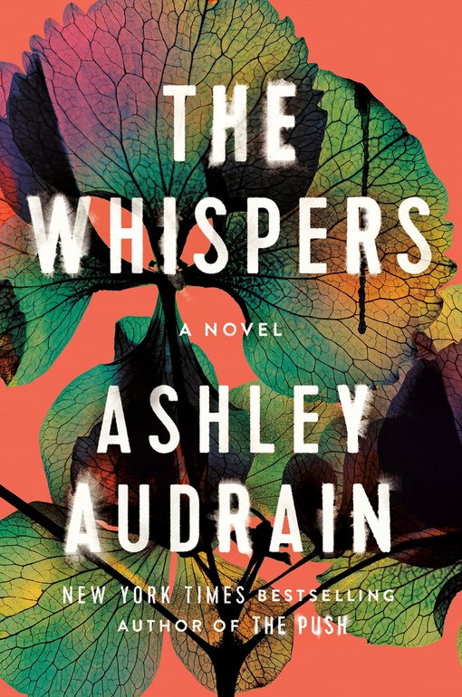 Ashley Audrain – The Whispers