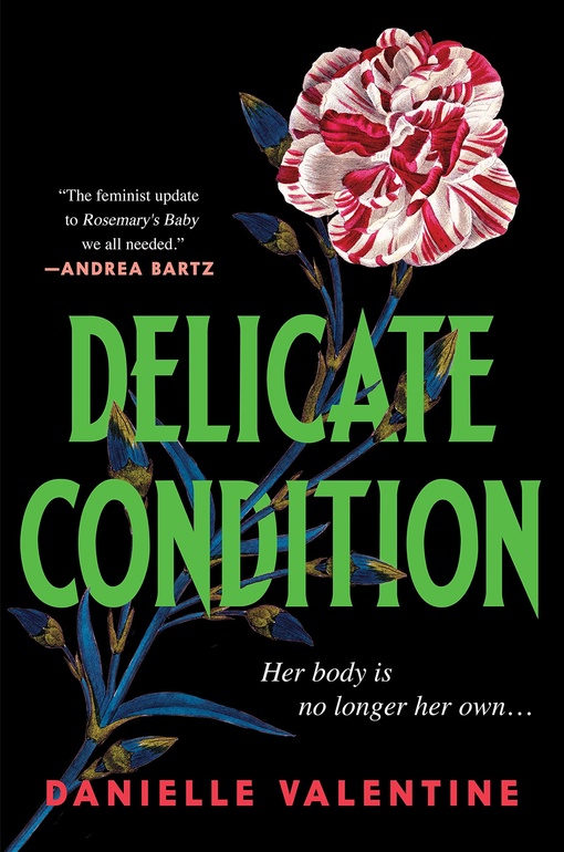 Danielle Valentine – Delicate Condition